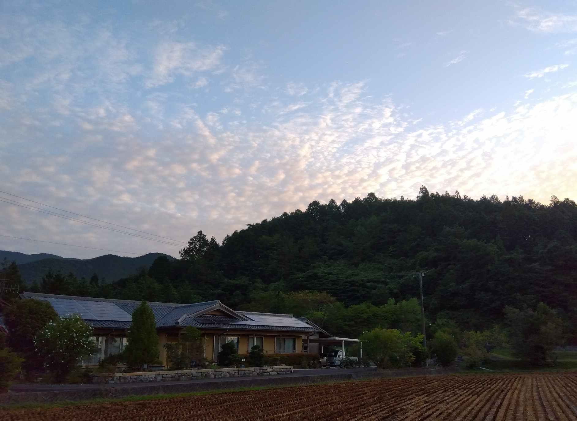 IMG_2025-09-16-05-47-24-044