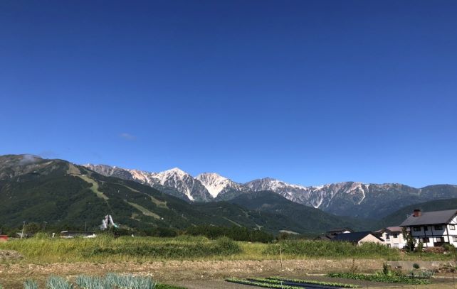 image35