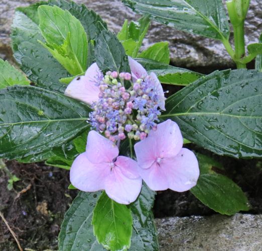 image58