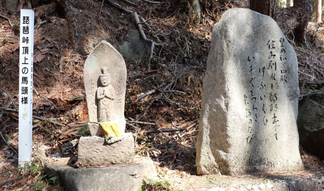 image7