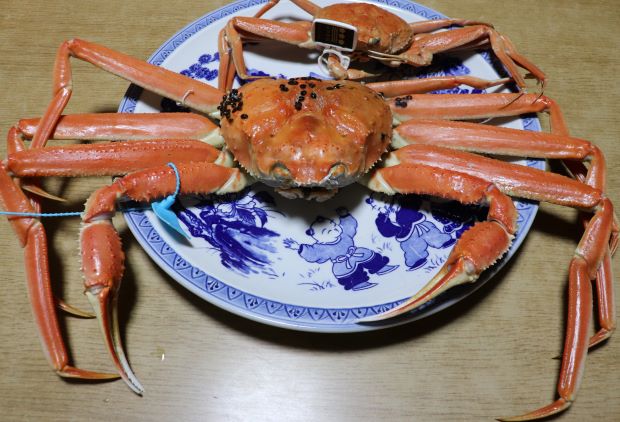 image72